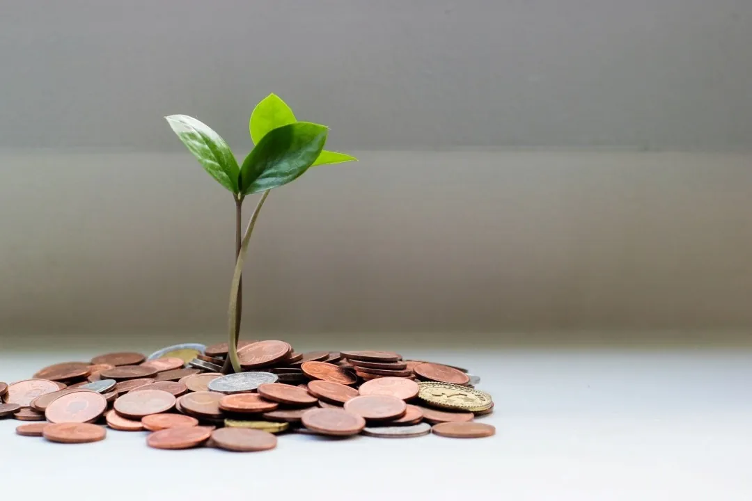 A young plant growing from a pile of coins