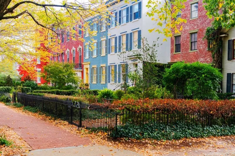 Historic Washington DC rowhouses in autumn