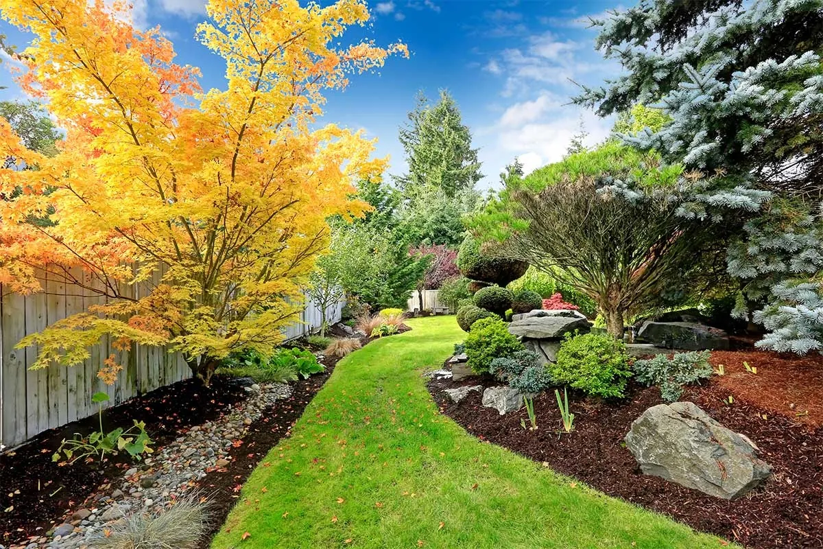 A landscaped garden in autumn colour